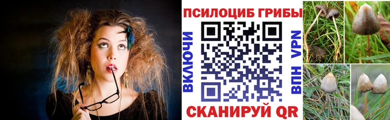 Псилоцибиновые грибы прущие грибы  Южа 